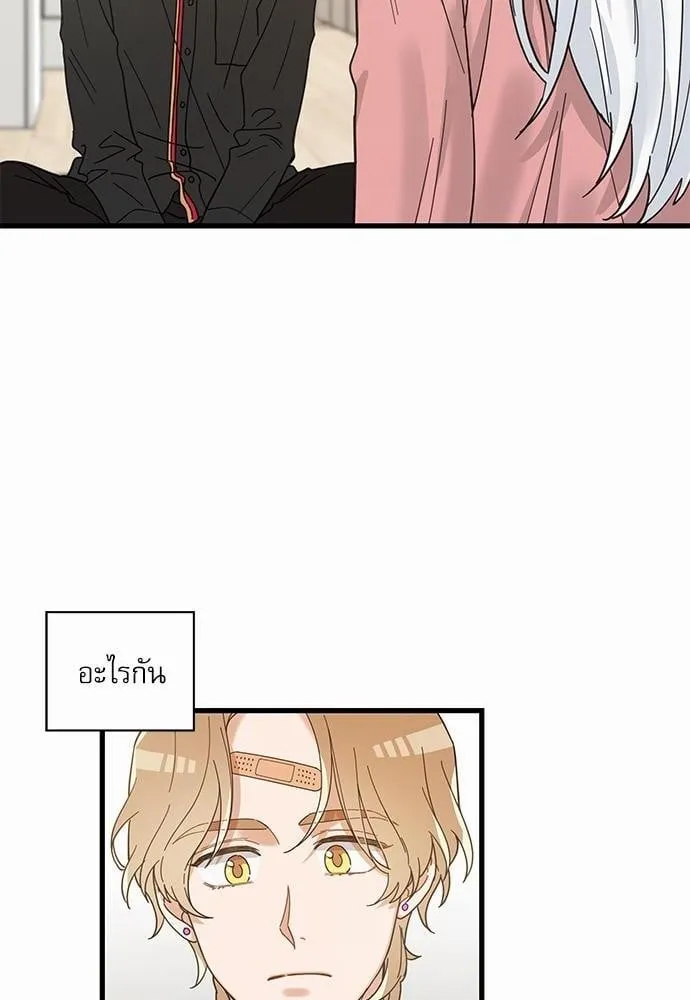 My One and Only Cat ตอนที่ 2418 My One and Only Cat ตอนที่ 2418