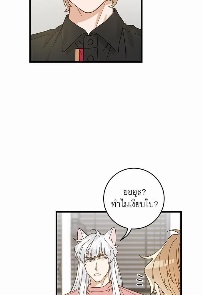My One and Only Cat ตอนที่ 2419 My One and Only Cat ตอนที่ 2419