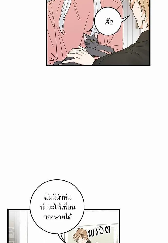 My One and Only Cat ตอนที่ 2420 My One and Only Cat ตอนที่ 2420