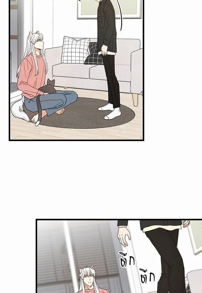 My One and Only Cat ตอนที่ 2421 My One and Only Cat ตอนที่ 2421