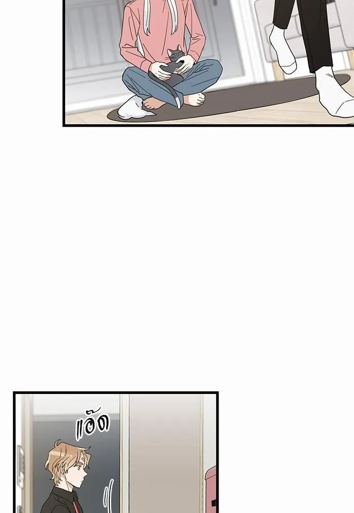 My One and Only Cat ตอนที่ 2422 My One and Only Cat ตอนที่ 2422