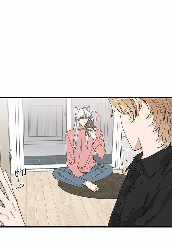 My One and Only Cat ตอนที่ 2425 My One and Only Cat ตอนที่ 2425