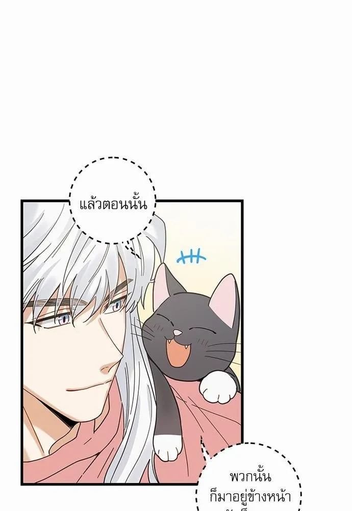 My One and Only Cat ตอนที่ 2426 My One and Only Cat ตอนที่ 2426