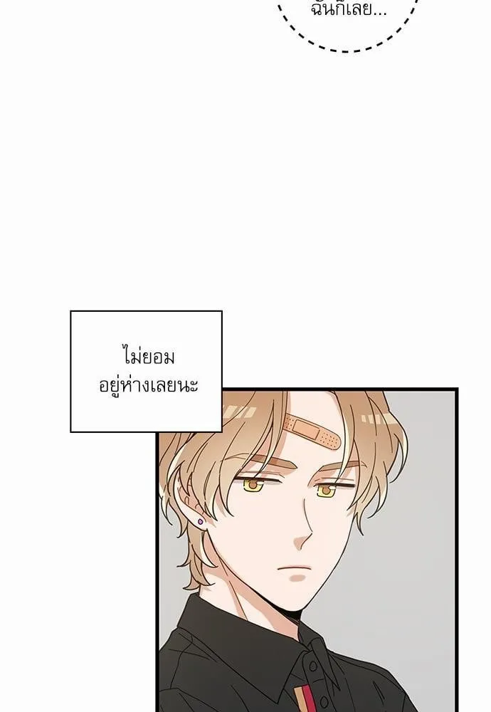 My One and Only Cat ตอนที่ 2427 My One and Only Cat ตอนที่ 2427