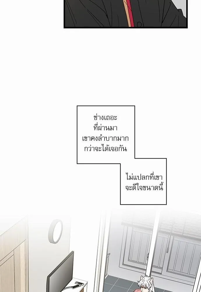 My One and Only Cat ตอนที่ 2428 My One and Only Cat ตอนที่ 2428