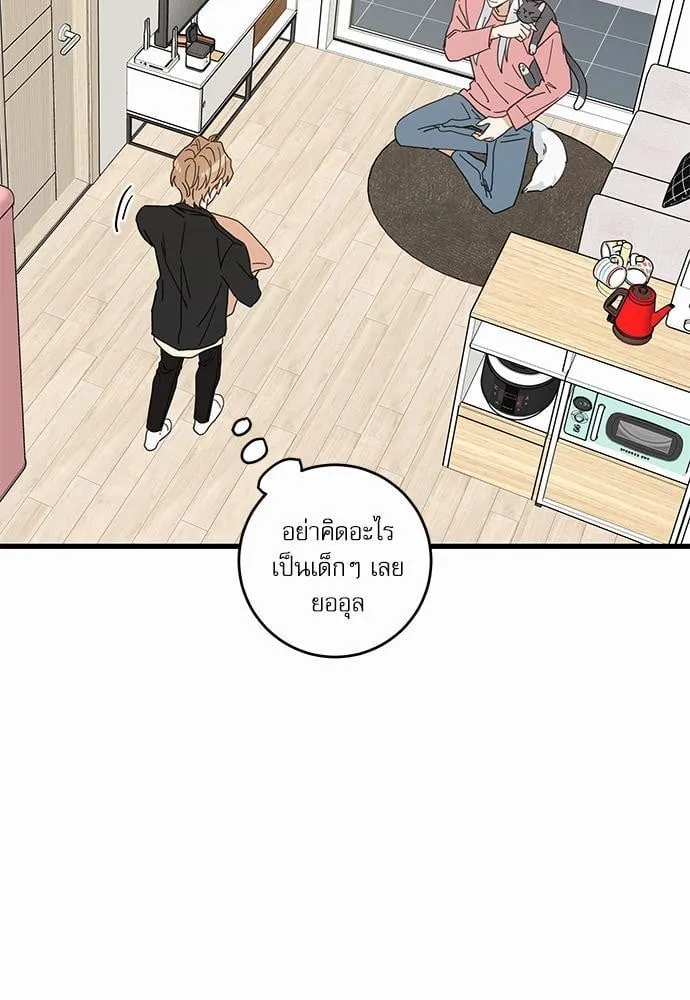 My One and Only Cat ตอนที่ 2429 My One and Only Cat ตอนที่ 2429