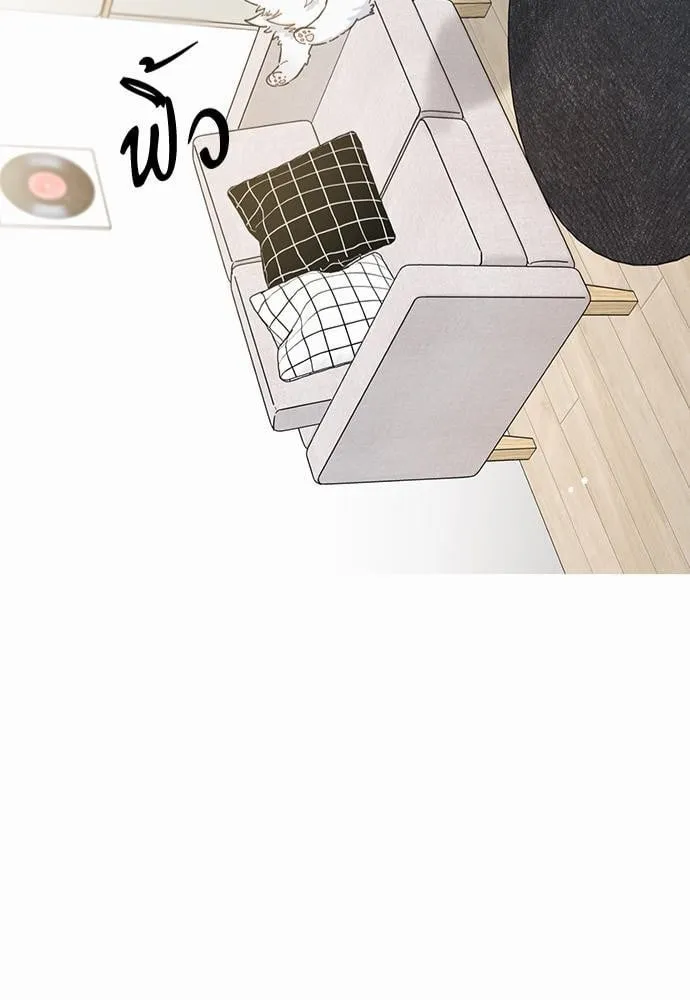 My One and Only Cat ตอนที่ 243 My One and Only Cat ตอนที่ 243