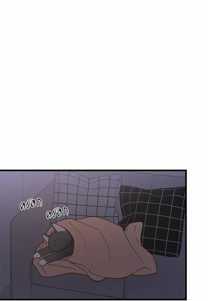 My One and Only Cat ตอนที่ 2430 My One and Only Cat ตอนที่ 2430