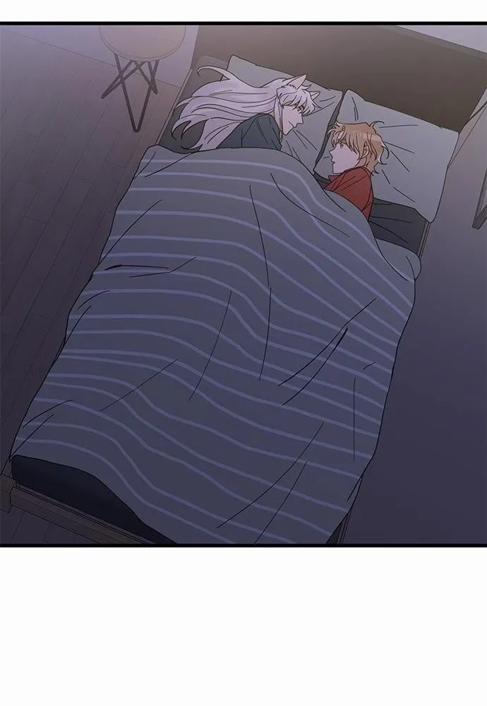 My One and Only Cat ตอนที่ 2432 My One and Only Cat ตอนที่ 2432