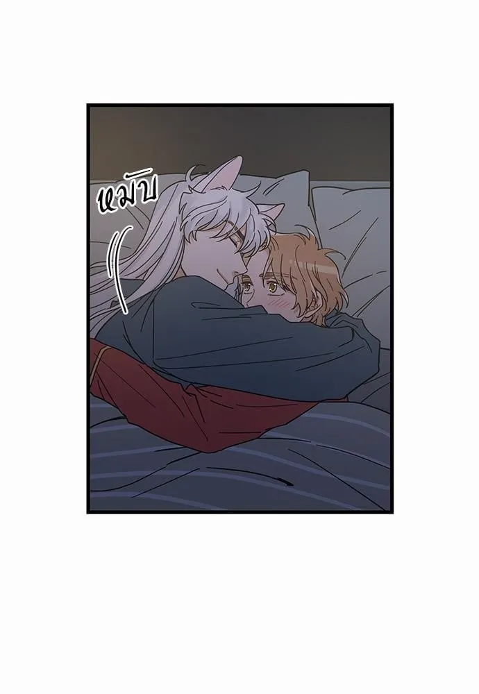 My One and Only Cat ตอนที่ 2437 My One and Only Cat ตอนที่ 2437