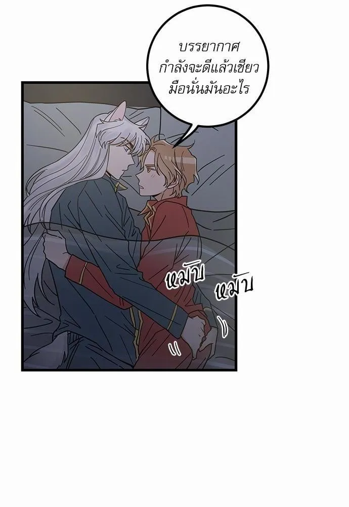 My One and Only Cat ตอนที่ 2440 My One and Only Cat ตอนที่ 2440