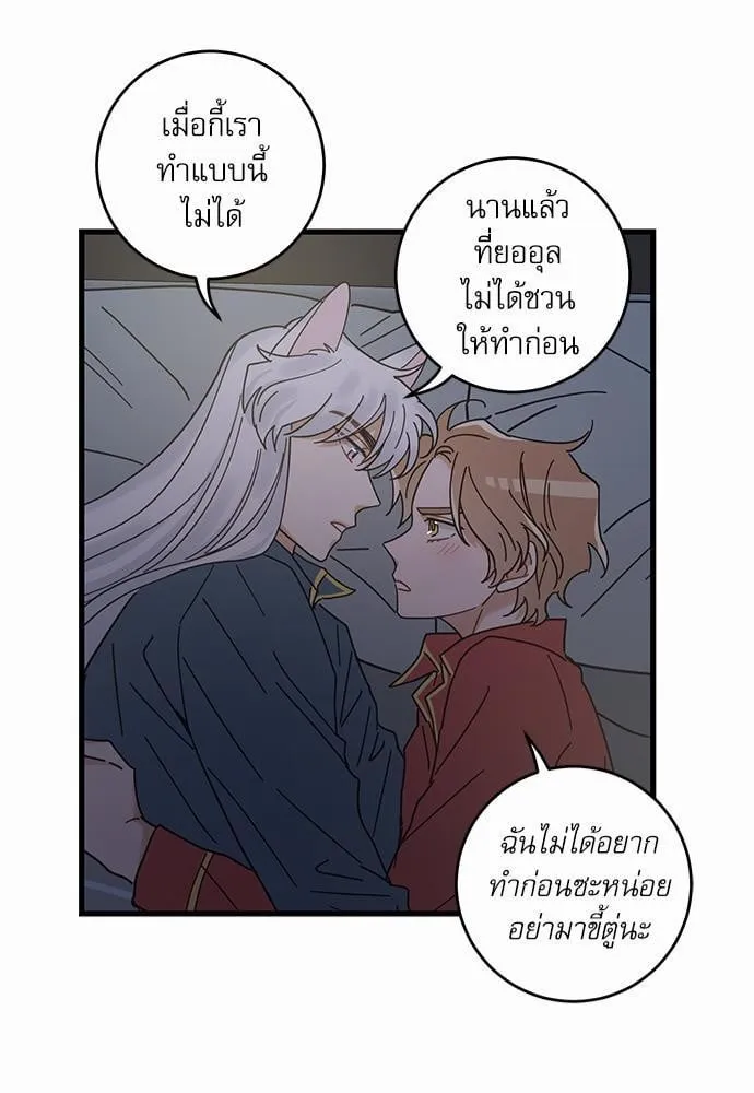 My One and Only Cat ตอนที่ 2441 My One and Only Cat ตอนที่ 2441