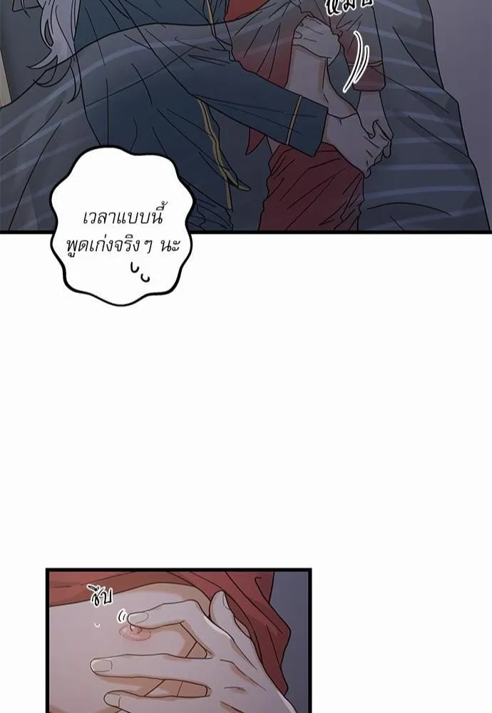 My One and Only Cat ตอนที่ 2444 My One and Only Cat ตอนที่ 2444