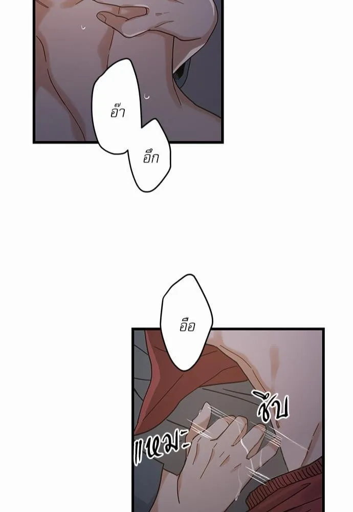 My One and Only Cat ตอนที่ 2445 My One and Only Cat ตอนที่ 2445