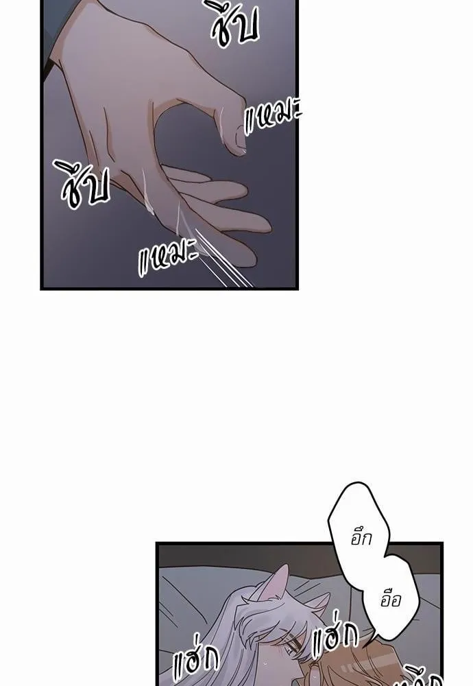 My One and Only Cat ตอนที่ 2448 My One and Only Cat ตอนที่ 2448