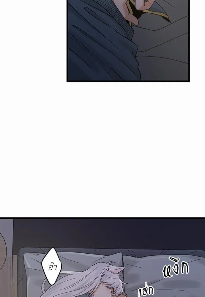 My One and Only Cat ตอนที่ 2451 My One and Only Cat ตอนที่ 2451