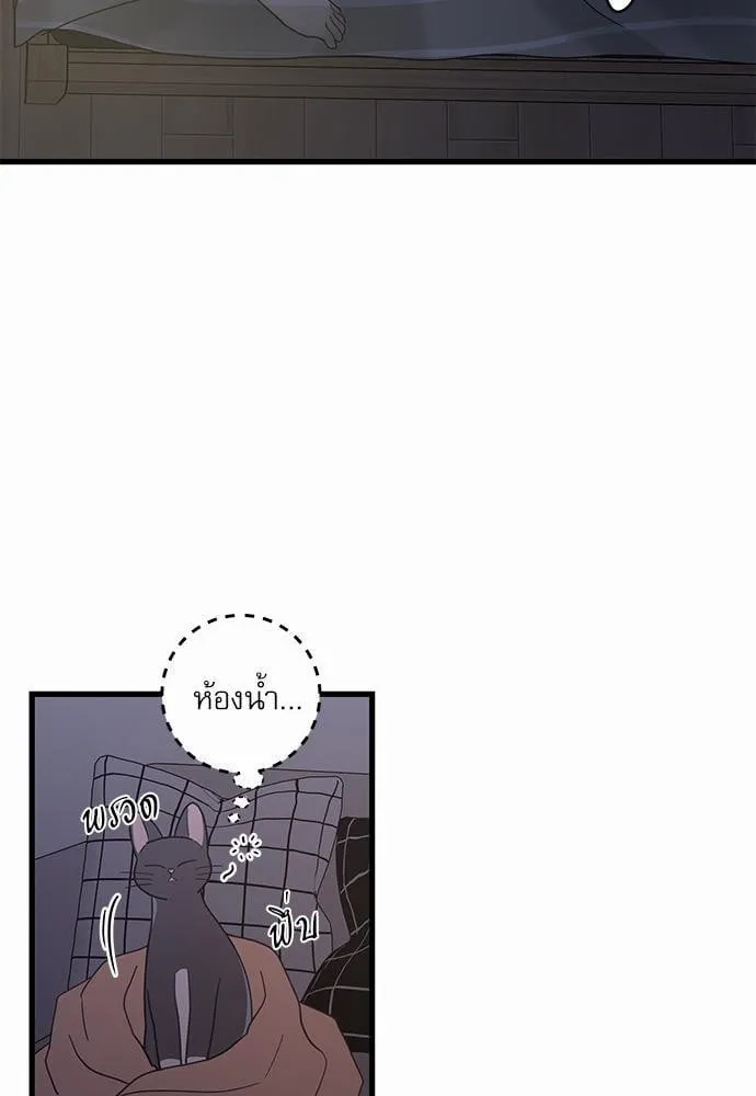 My One and Only Cat ตอนที่ 2453 My One and Only Cat ตอนที่ 2453