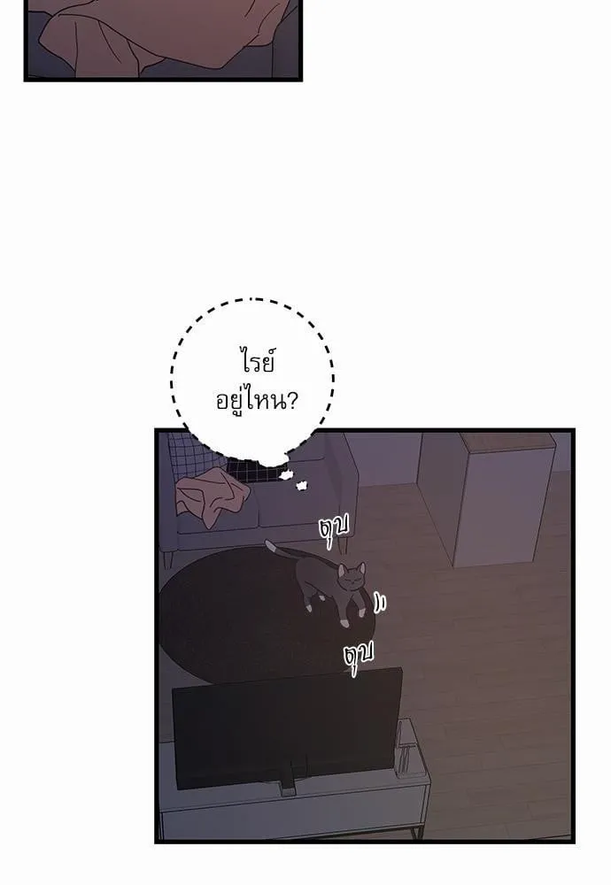 My One and Only Cat ตอนที่ 2454 My One and Only Cat ตอนที่ 2454