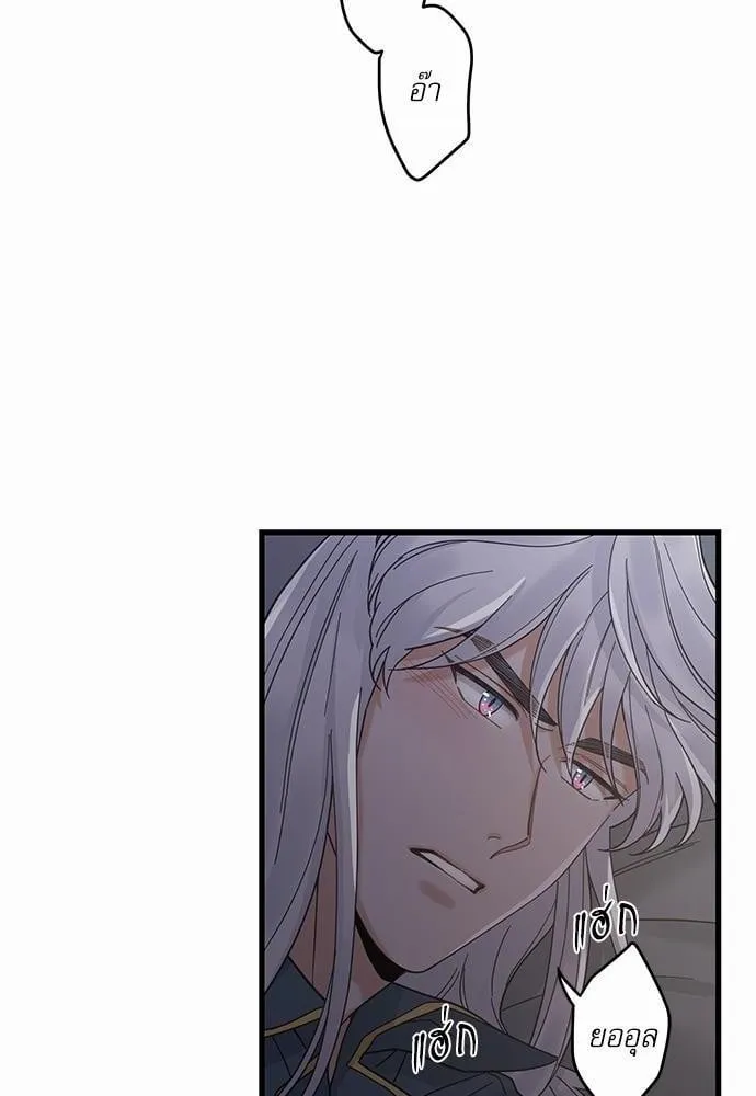 My One and Only Cat ตอนที่ 2456 My One and Only Cat ตอนที่ 2456