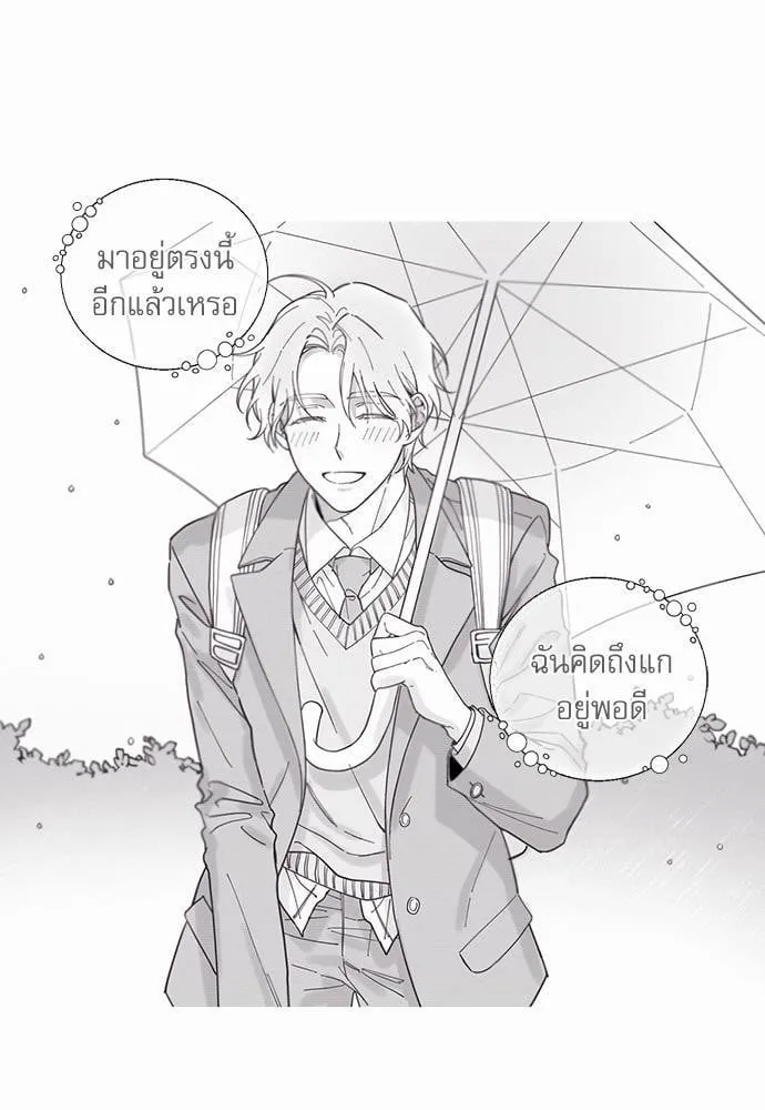 My One and Only Cat ตอนที่ 246 My One and Only Cat ตอนที่ 246