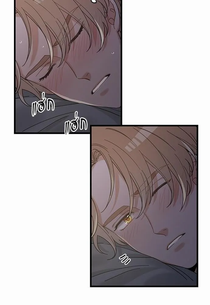 My One and Only Cat ตอนที่ 2460 My One and Only Cat ตอนที่ 2460