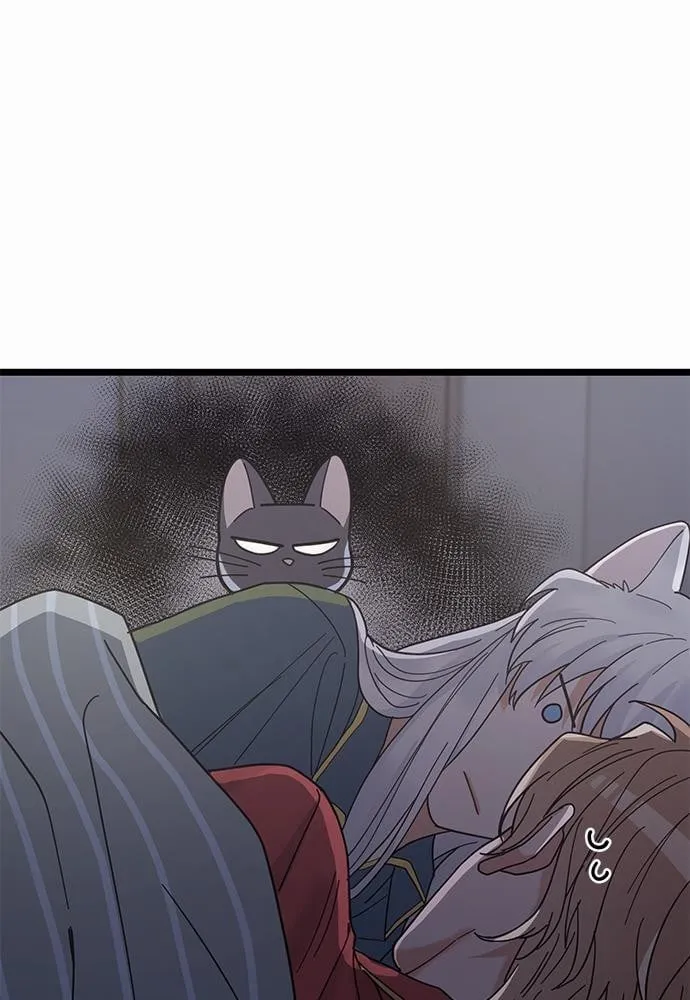 My One and Only Cat ตอนที่ 2461 My One and Only Cat ตอนที่ 2461