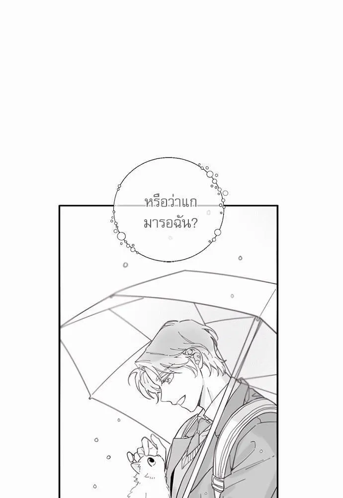 My One and Only Cat ตอนที่ 247 My One and Only Cat ตอนที่ 247