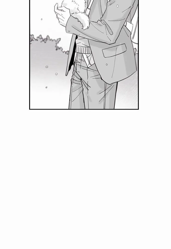 My One and Only Cat ตอนที่ 248 My One and Only Cat ตอนที่ 248