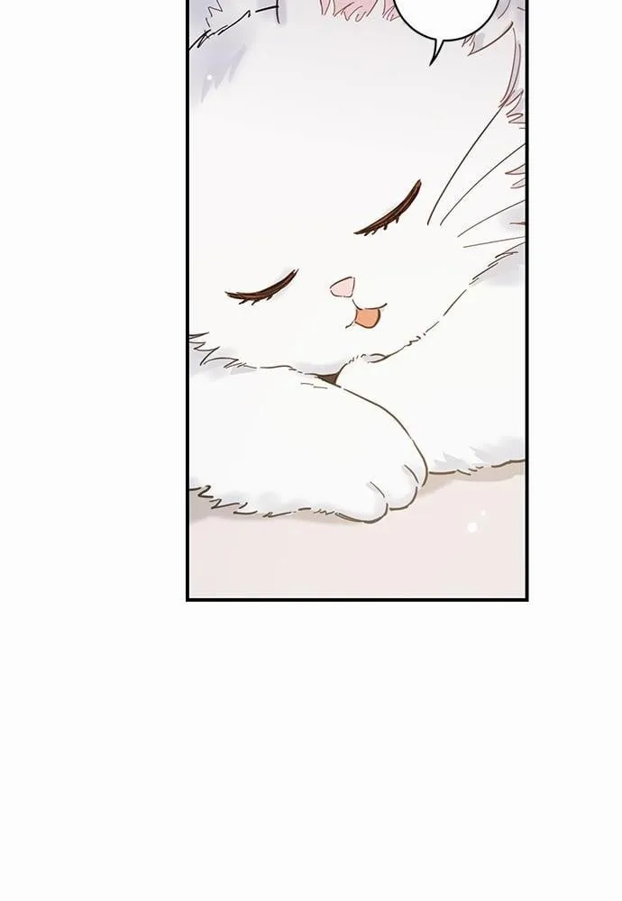 My One and Only Cat ตอนที่ 250 My One and Only Cat ตอนที่ 250