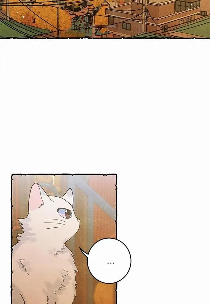 My One and Only Cat ตอนที่ 2502