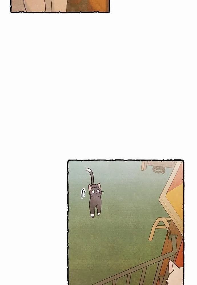 My One and Only Cat ตอนที่ 2503