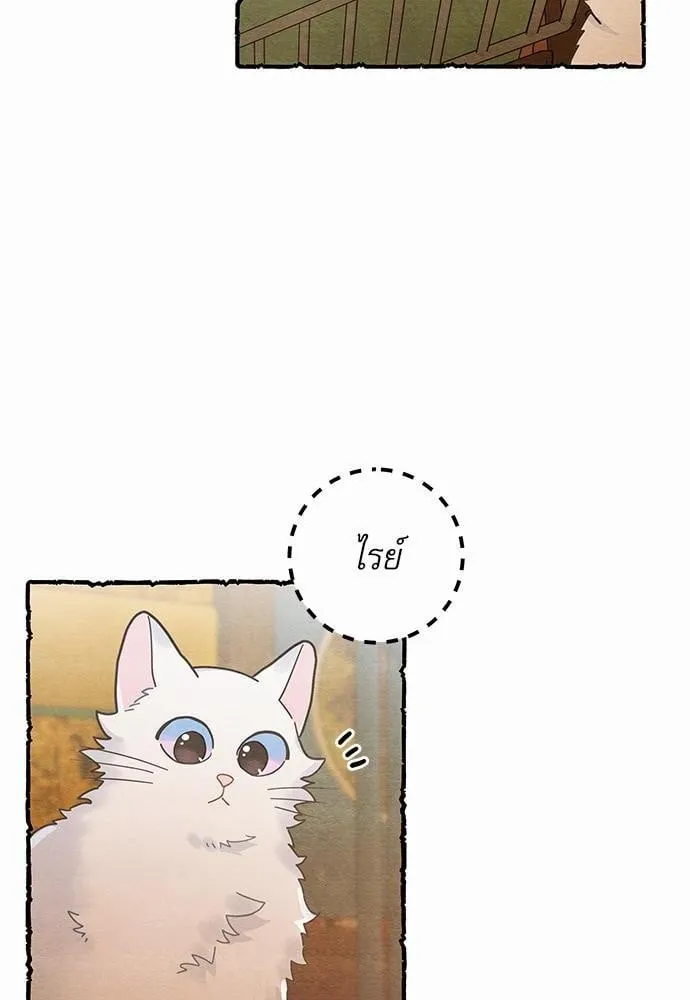 My One and Only Cat ตอนที่ 2504