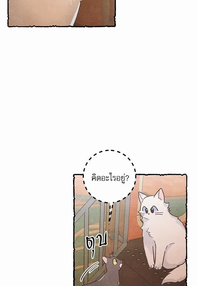 My One and Only Cat ตอนที่ 2505