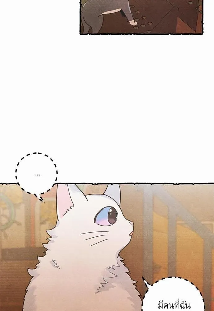 My One and Only Cat ตอนที่ 2506