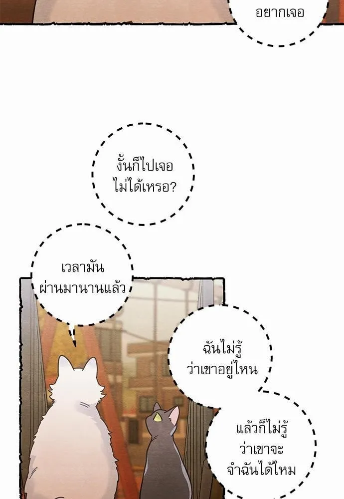 My One and Only Cat ตอนที่ 2507