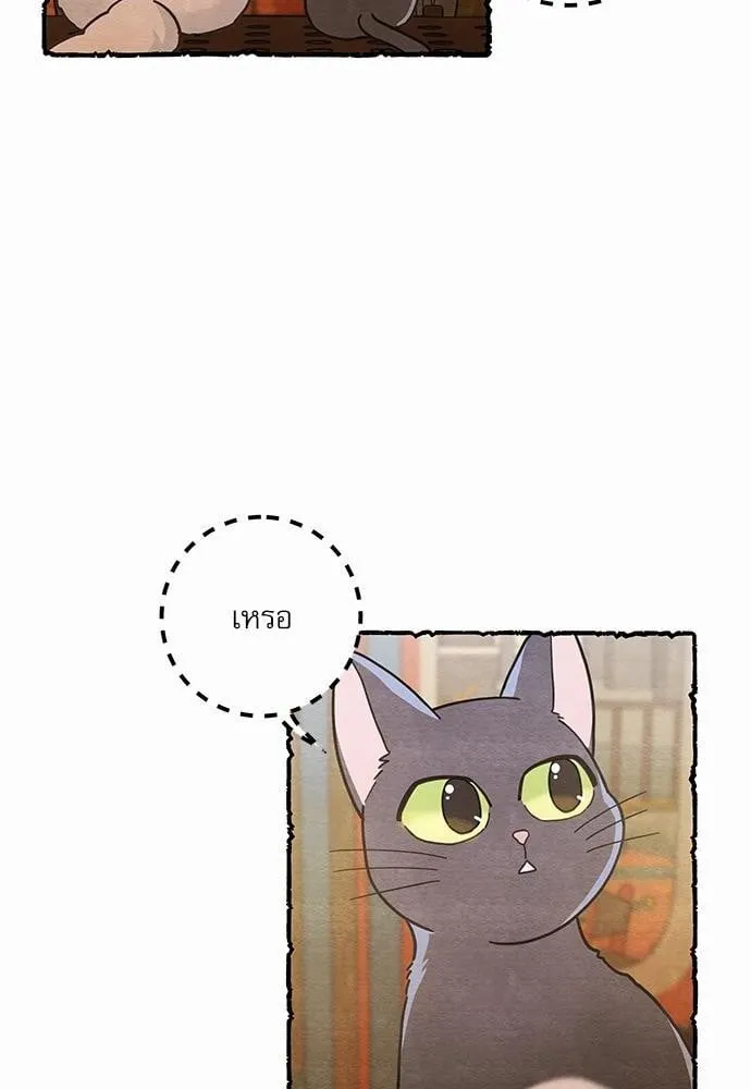 My One and Only Cat ตอนที่ 2508