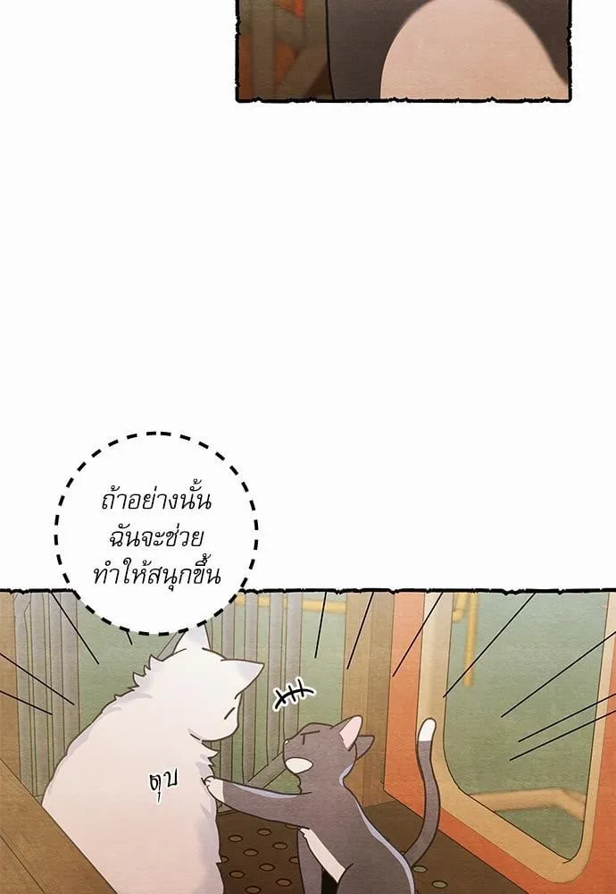 My One and Only Cat ตอนที่ 2509