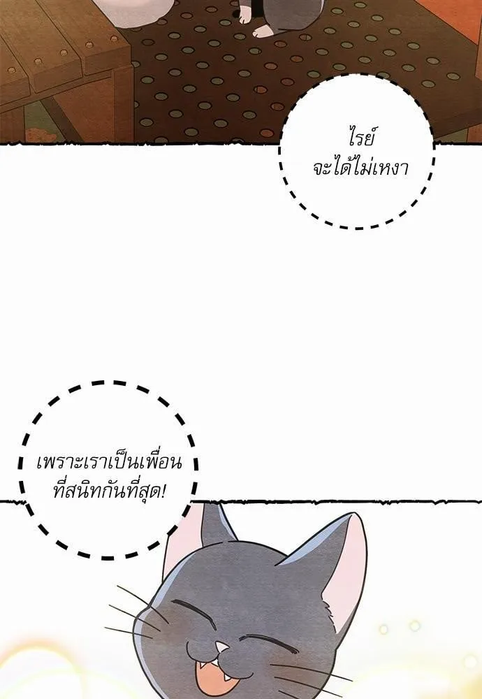 My One and Only Cat ตอนที่ 2510