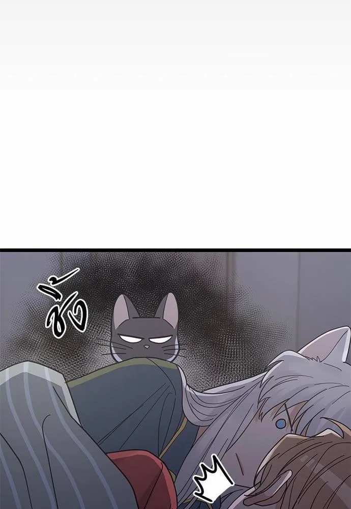 My One and Only Cat ตอนที่ 2512