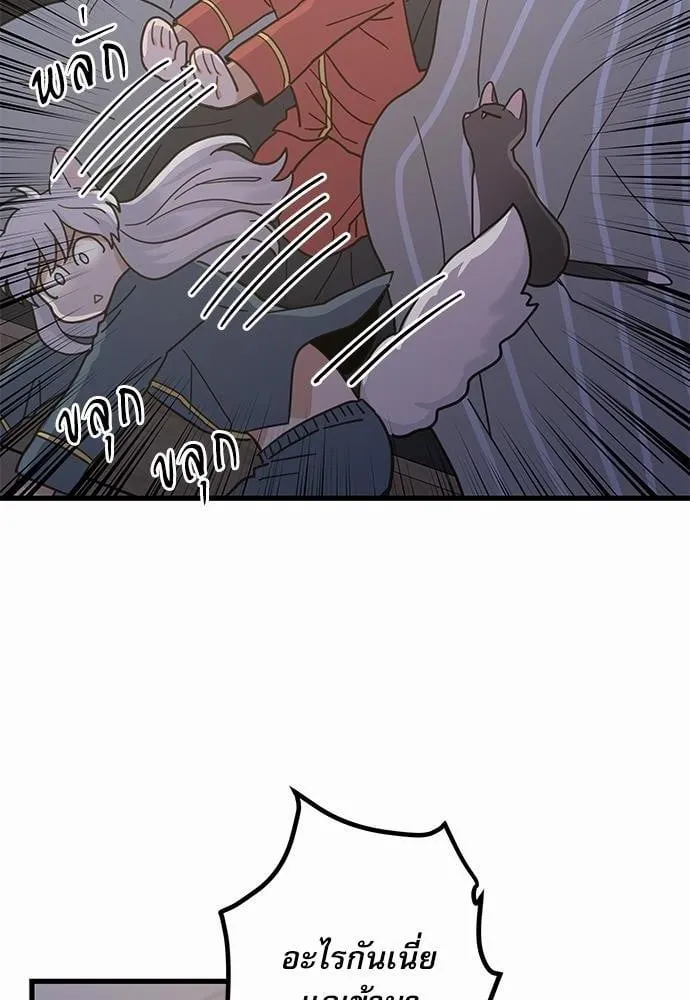 My One and Only Cat ตอนที่ 2514