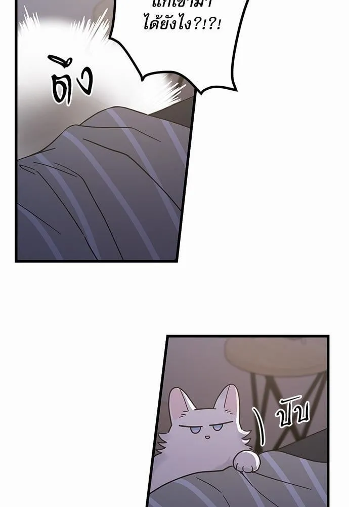 My One and Only Cat ตอนที่ 2515