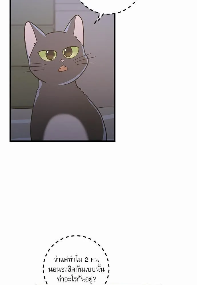 My One and Only Cat ตอนที่ 2519
