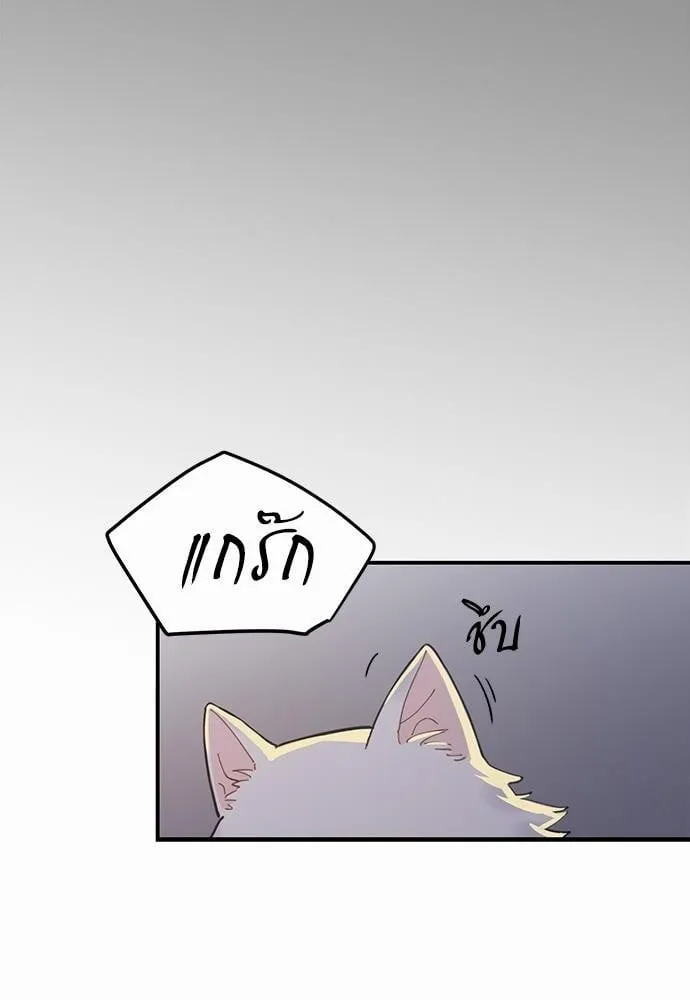 My One and Only Cat ตอนที่ 252 My One and Only Cat ตอนที่ 252