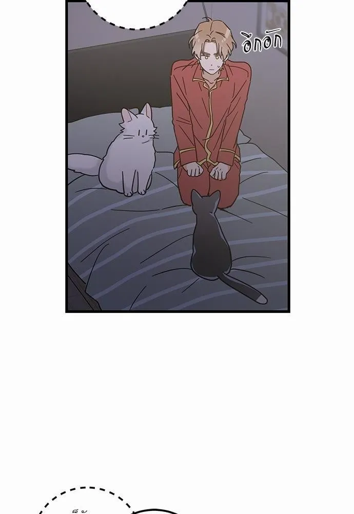 My One and Only Cat ตอนที่ 2520