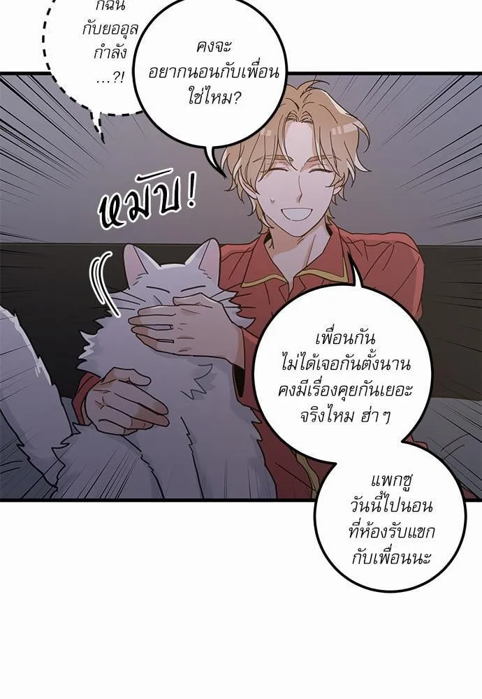 My One and Only Cat ตอนที่ 2521