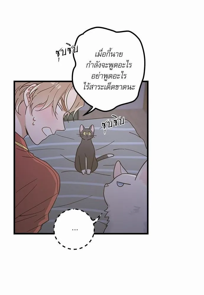 My One and Only Cat ตอนที่ 2522