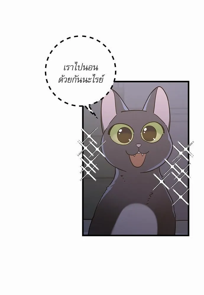 My One and Only Cat ตอนที่ 2523