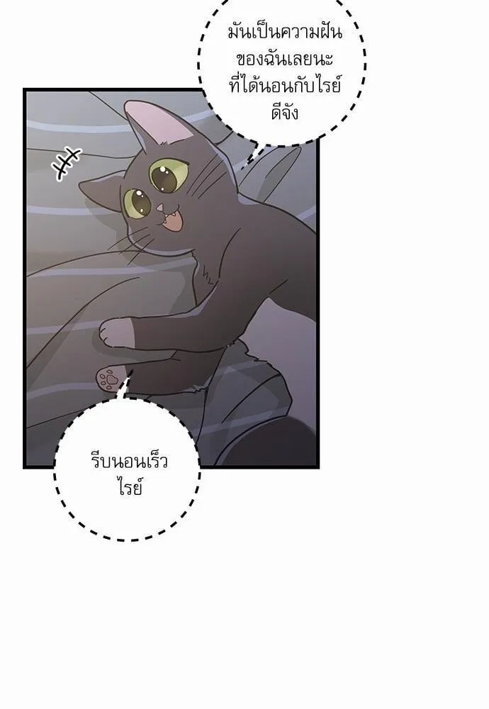 My One and Only Cat ตอนที่ 2529