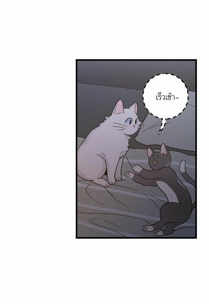 My One and Only Cat ตอนที่ 2530