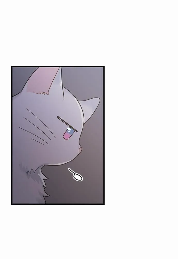 My One and Only Cat ตอนที่ 2531